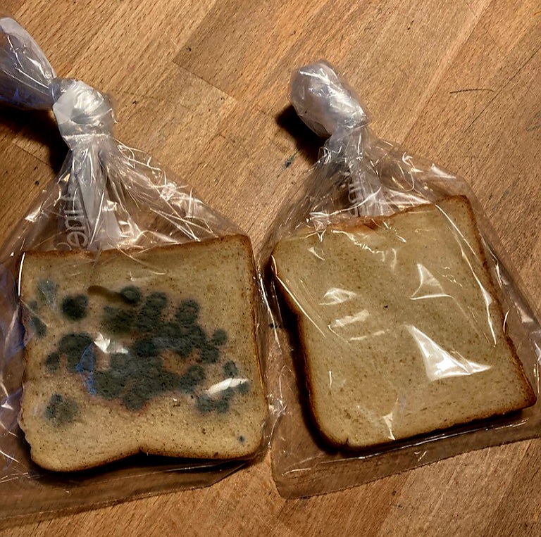 brød